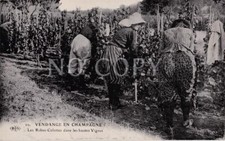 Carte postale ancienne d'occasion  Senones