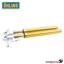 Ohlins fork 43mm usato  Portici