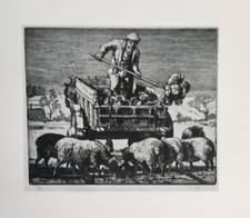 Hard winter tunnicliffe for sale  UK