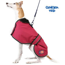 Ginger ted waterproof for sale  LEEDS