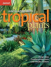 Landscaping tropical plants for sale  UK