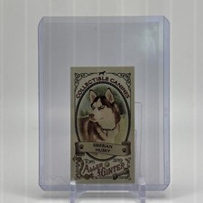 2019 topps allen for sale  Worcester