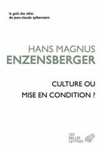 Culture mise hans d'occasion  Hennebont
