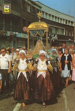 Dunkerque defile jour d'occasion Dunkerque defile jour d'occasion  Oye-Plage