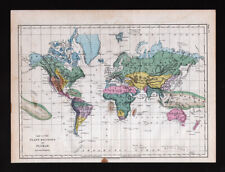 Mapa mundial Steinwehr 1873 regiones vegetales biomas florales zonas selva tropical desiertos segunda mano  Embacar hacia Argentina