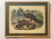 Vintage audubon mink for sale  New Castle