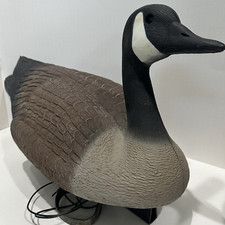 Flambeau canada goose for sale  Haven