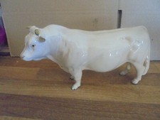 Beswick cattle charolais for sale  HOUGHTON LE SPRING