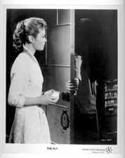 The Fly 1958 - Foto original do filme b/w 8x10!, usado comprar usado  Enviando para Brazil