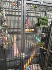 Heavy duty liberta for sale  BRADFORD