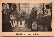 dompteur deguisement d'occasion  France