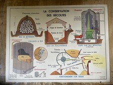 Ancienne scolaire murale d'occasion  Montrichard