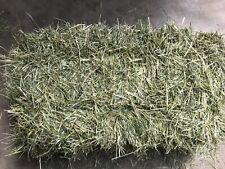Heuballen heu 18kg gebraucht kaufen  Ampfing
