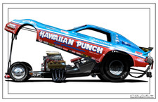 Special hawaiian punch for sale  Bulverde