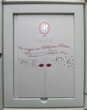 Viaggio con pellegrino usato  Italia