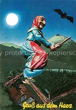 Hexe brocken fledermaus gebraucht kaufen  Deutschland