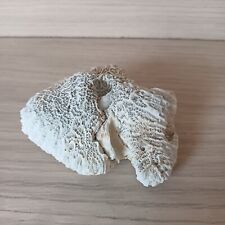 White coral brain d'occasion  Expédié en Belgium