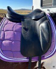 Amerigo vega black for sale  Steamboat Springs