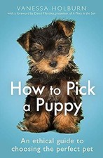 Pick puppy ethical for sale  GILLINGHAM