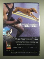 2000 purina pro for sale  Madison Heights