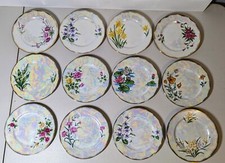 Norleans monthly plates for sale  Saint Cloud