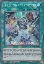Traquenard labrynth sr d'occasion  France