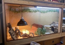 6ft vivarium amazing for sale  HUDDERSFIELD