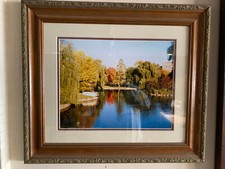 Boston public garden for sale  Nashua