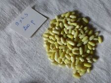 Lot 200 perles d'occasion  Clermont-Ferrand-