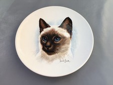 Poole siamese cat for sale Poole siamese cat for sale  FOLKESTONE