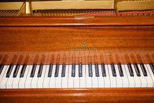 1930 steinway model for sale  Philadelphia