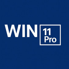 Windows pro product usato  Torino