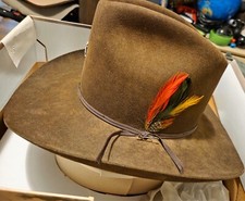 Chapéus Stetson vintage chapéu castor cowboy com alfinete de cavalo e penas na caixa original comprar usado  Enviando para Brazil