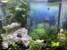 Aquarium komplett unterschrank gebraucht kaufen  Augsburg