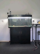 240l 4ft fish for sale  DERBY