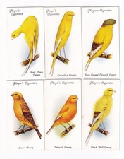 1933 bird painting d'occasion  Expédié en Belgium
