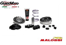 Variatore malossi multivar usato  Mogliano Veneto