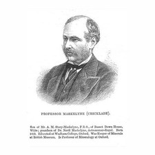 Professor maskelyne cricklande for sale  GLASGOW