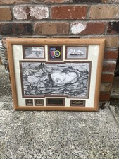 Vintage dsv turtle for sale  Bremerton