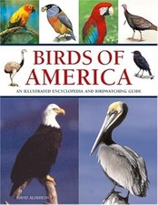 Birds america illustrated for sale  UK