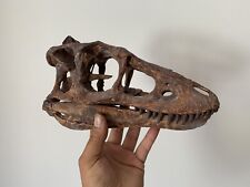 Réplique crane tyrannosaure d'occasion  France