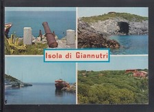 Cartolina isola giannutri usato  Italia