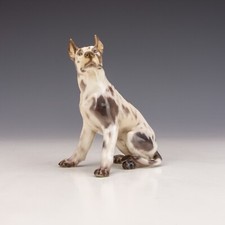 great dane for sale great dane for sale UK