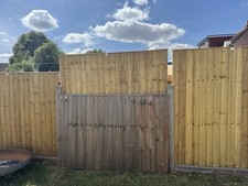 Fence panels 6ft for sale  WARLINGHAM