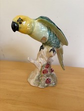 budgie parakeet for sale budgie parakeet for sale BRACKLEY