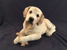 lab pup for sale lab pup for sale Minneapolis