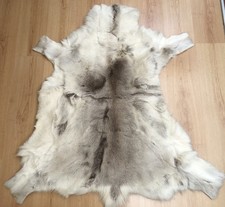 Xxl lappland rentier gebraucht kaufen  Wiesbaden