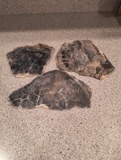 Lot polished petrified for sale Lot polished petrified for sale  Fairfax