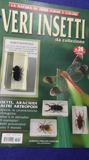 Veri insetti collezione usato  Napoli