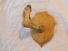 Trophée chasse patte d'occasion  La Teste-de-Buch